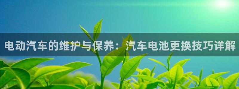 优发国际安卓版下载安装教程：电动汽车的维