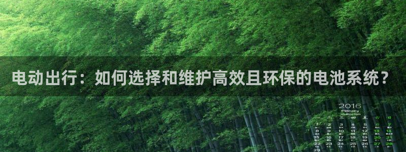 优发国际平台u8怎么样：电动出行：如何选择和维护高效且环保的电池系统？