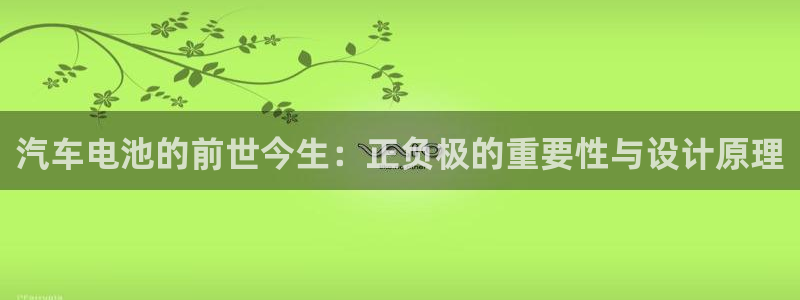 优发国际官网平台：汽车电池的前世今生：正负极的重要性与设计原理