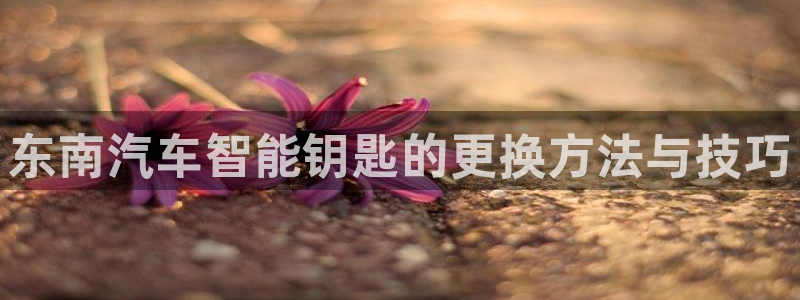 优发国际平台手机版下载：东南汽车智能钥匙的更换方法与技巧
