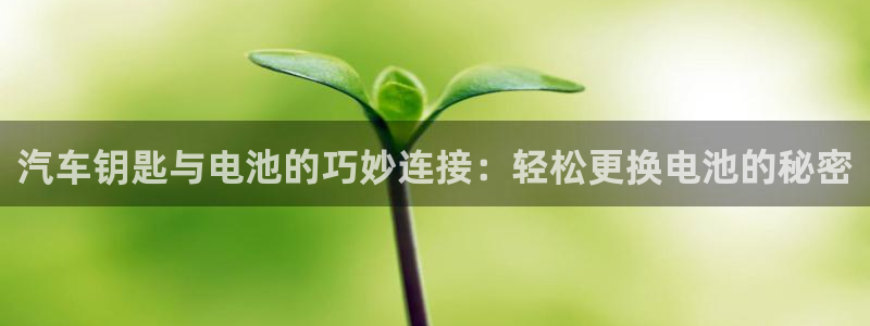 优发国际官网手机版app：汽车钥匙与电池的巧妙连接：轻松更换电池的秘密