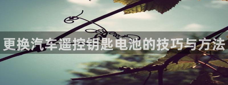优发国际首页app