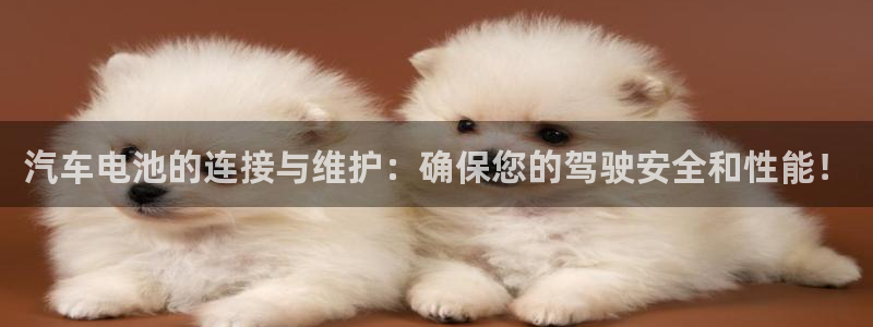 优发国际平台18