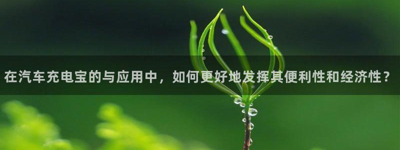 优发国际手机版网站入口