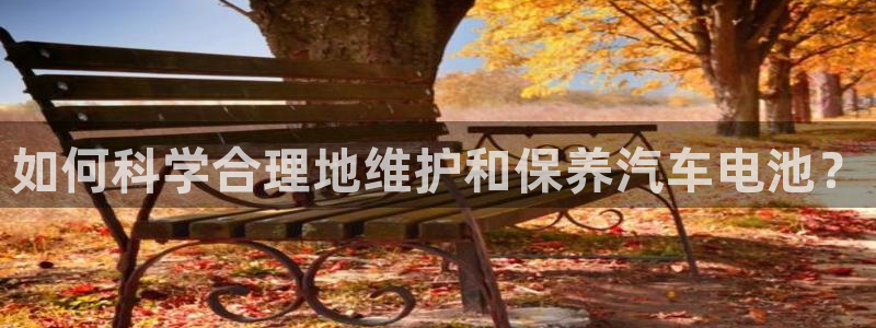 优发国际集团股份有限公司是国企吗：如何科学合理地维护和保养汽车电池？