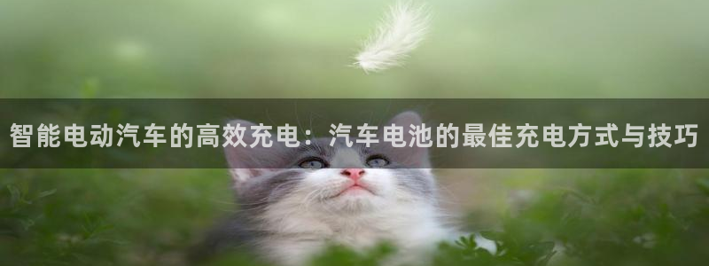 优发国际下载安装app：智能电动汽车的高效充电：汽车电池的最佳充电方式与技巧