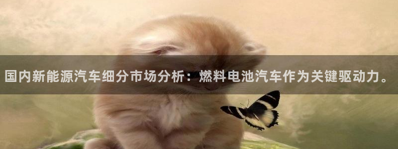 优发国际合并到哪里了最新消息