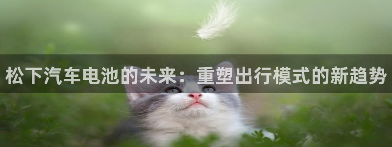优发国际多少