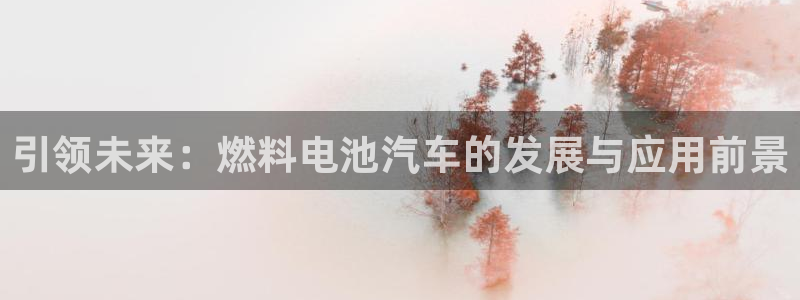 优发国际平台u8是什么公司