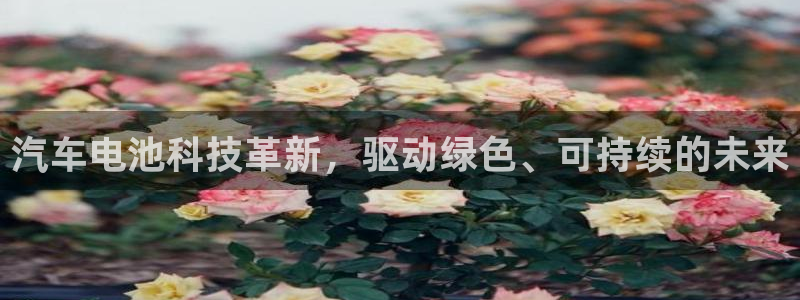 优发国际手机版下载安装：汽车电池科技革新，驱动绿色、可持续的未来