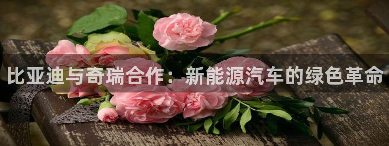 优发国际手机版官网入口