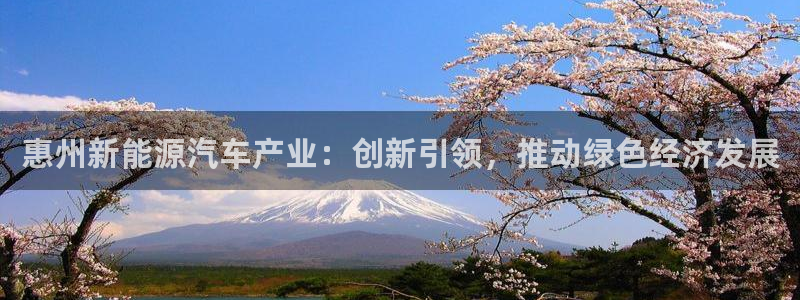优发国际官网网站：惠州新能源汽车产业：创新引领，推动绿色经济发展