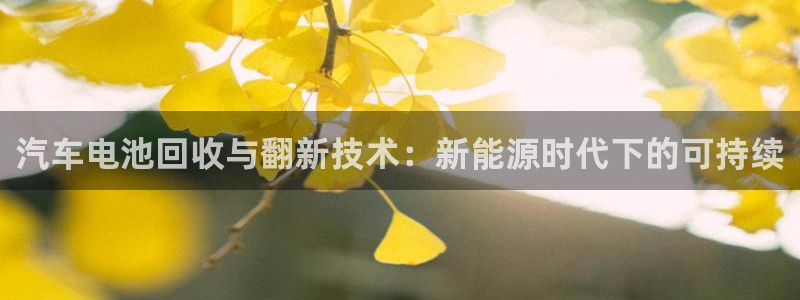 优发国际官方网手机版下载苹果：汽车电池回收与翻新技术：新能源时代下的可持续