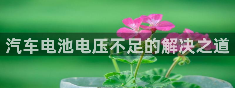 优发国际app：汽车电池电压不足的解决之道