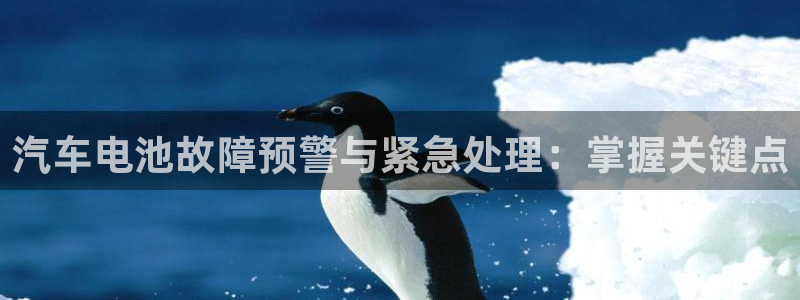 优发国际手机客户端怎么下载：汽车电池故障预警与紧急处理：掌握关键点