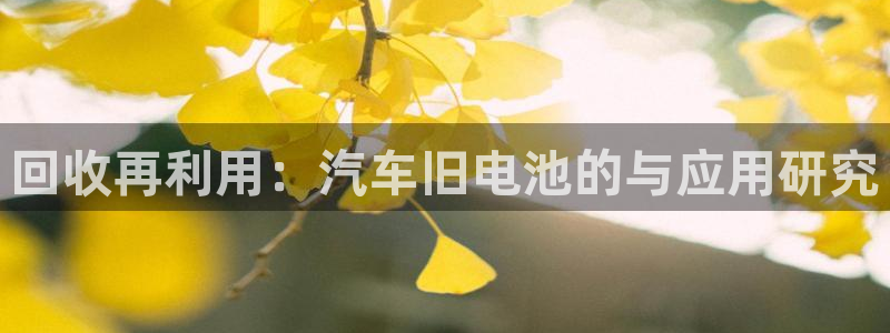优发国际下载app