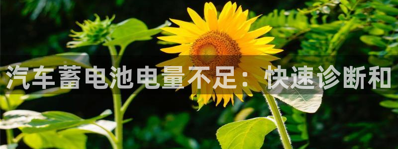 优发国际下载：汽车蓄电池电量不足：快速诊断和