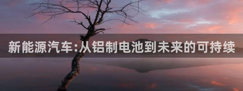 优发国际官网是多少：新能源汽车:从铝制电