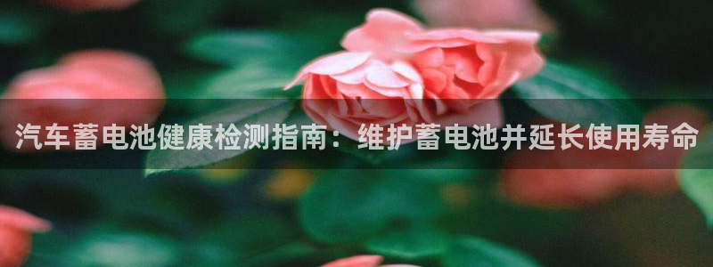 优发国际登录l8：汽车蓄电池健康检测指南：维护蓄电池并延长使用寿命
