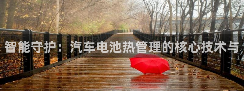 优发国际集团股份有限公司官网：智能守护：汽车电池热管理的核心技术与