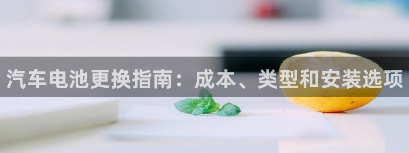 优发国际平台手机版下载官网：汽车电池更换指南：成本、类型和安装选项