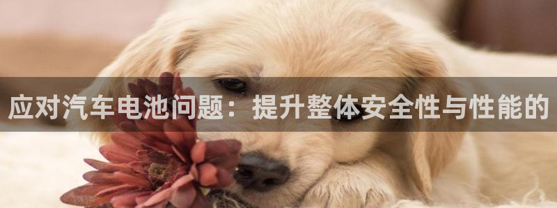 优发国际官网手机版代理：应对汽车电池问题：提升整体安全性与性能的