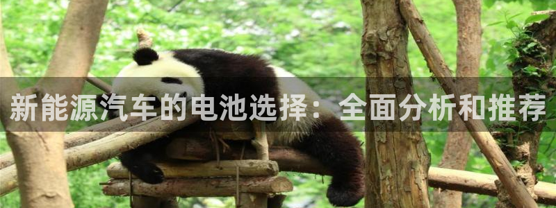 优发国际官网下载苹果版：新能源汽车的电池