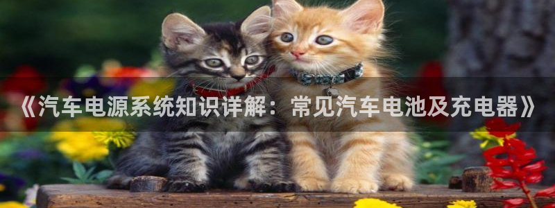 优发国际登录k8：《汽车电源系统知识详解