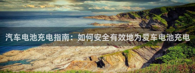 优发国际最新网站下载：汽车电池充电指南：