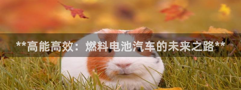 优发国际app登录密码